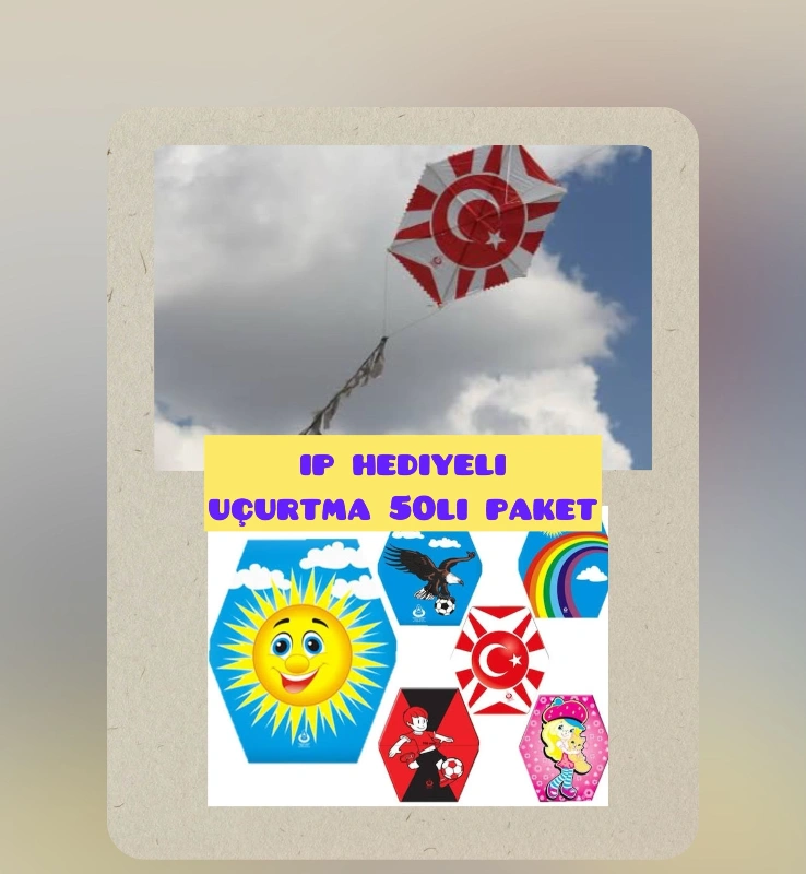 Takmatik 80cm Uçurtma (ip hediyeli)  / 50li Paket