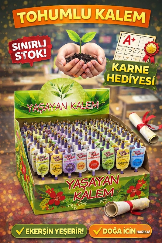 TOHUMLU KALEM  / 100LÜ STANT