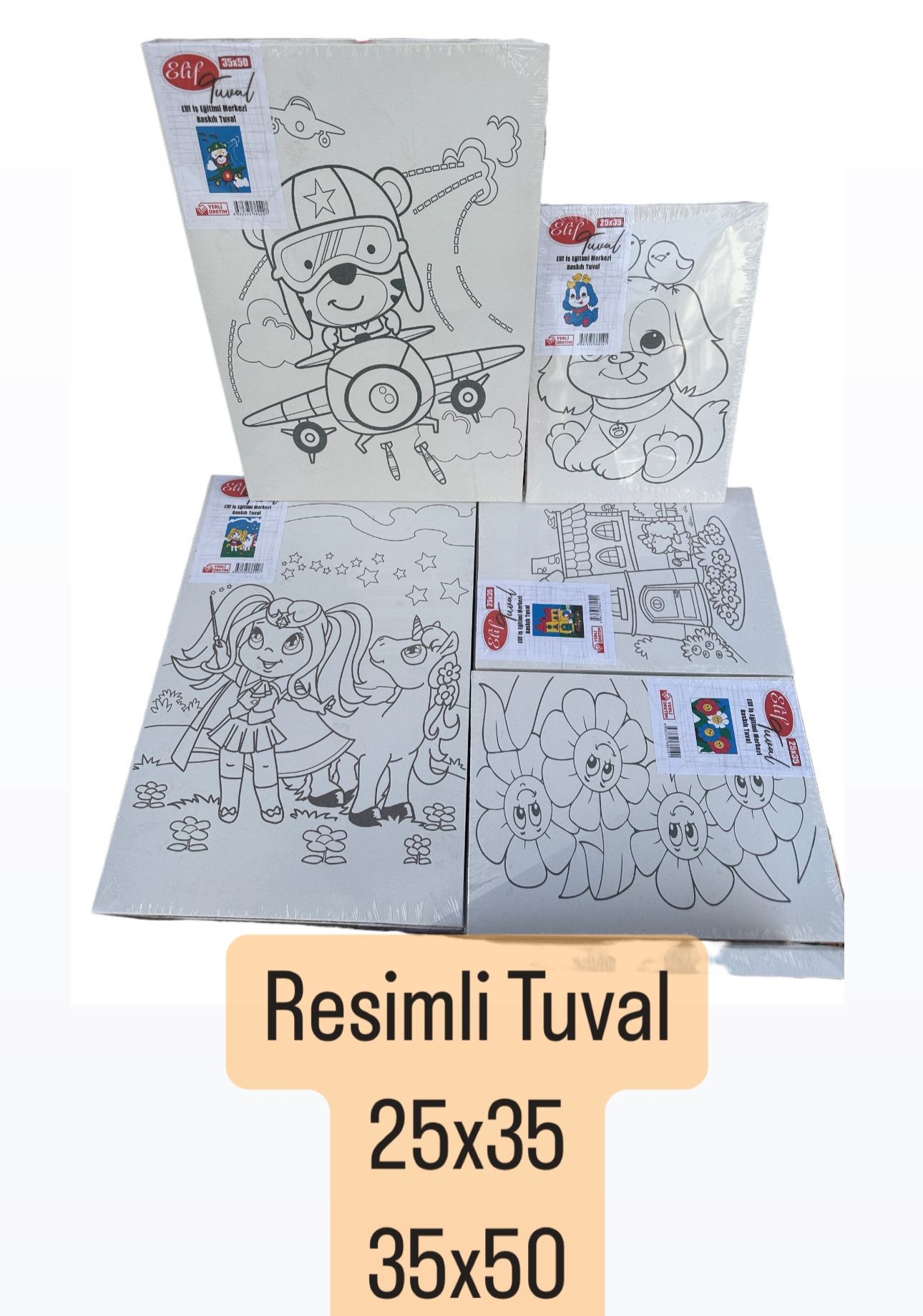 RESİMLİ TUVAL 25X35 VE 35 X 50