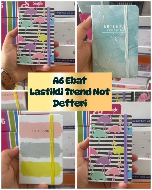 A6 Ebat Trend Lastikli Not Defteri / stant 24lü