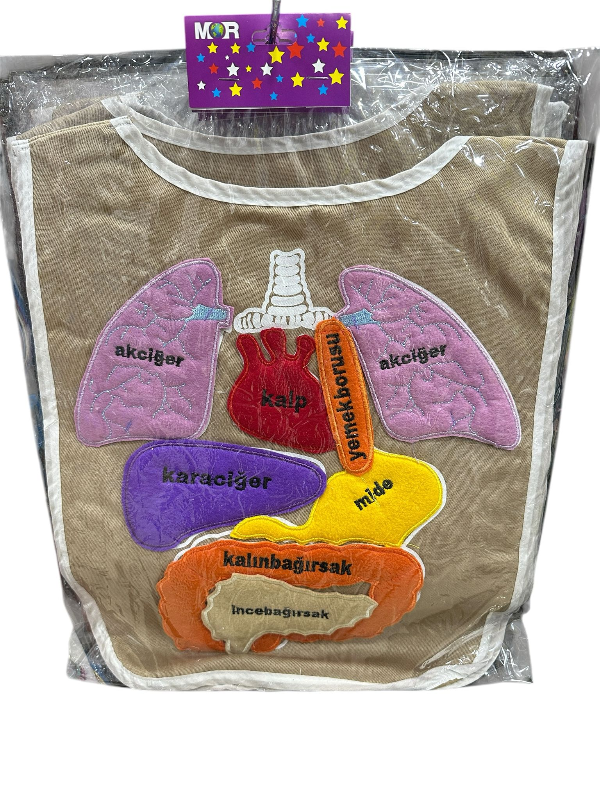 Eğitici Organ Önlüğü