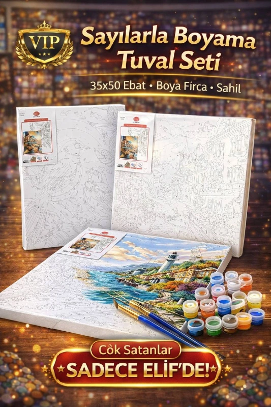 SAYILARLA TUVAL NUMARALI BOYAMA 35X50