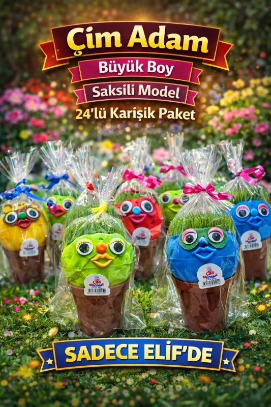 BÜYÜK ÇİM ADAM SAKSILI MODEL / 12Lİ PAKET