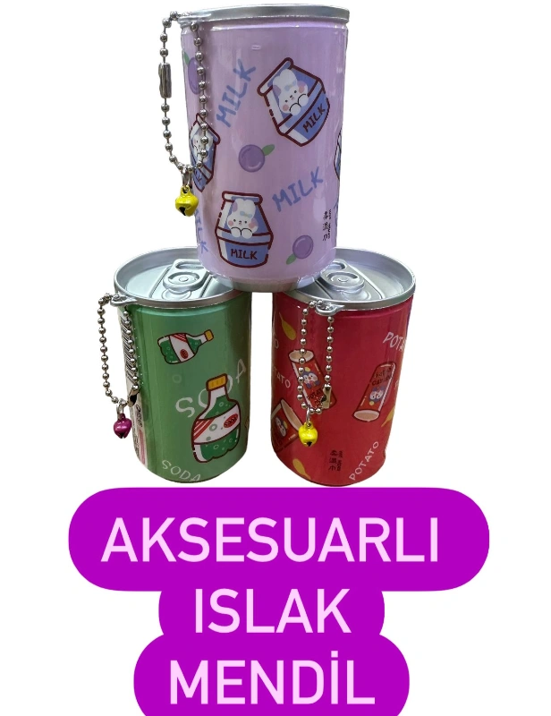 Aksesuarlı Islak Mendil / 24lü Paket