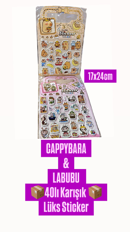 LABUBU  & CAPPYBARA STİCKER 17x24cm  /  48Lİ STANT