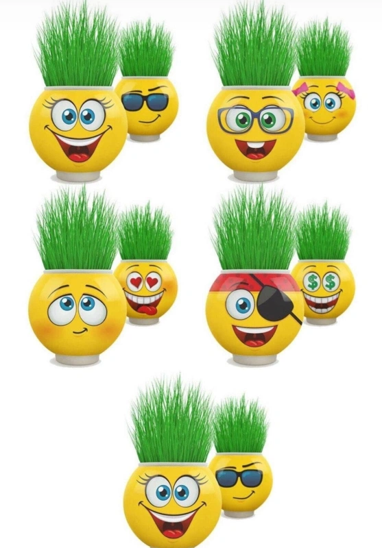 ÇİMOJİ ÇİM ADAM / 24LÜ STANT