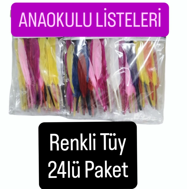 RENKLİ TÜY ANAOKULU LİSTELERİ / 24LÜ PAKET