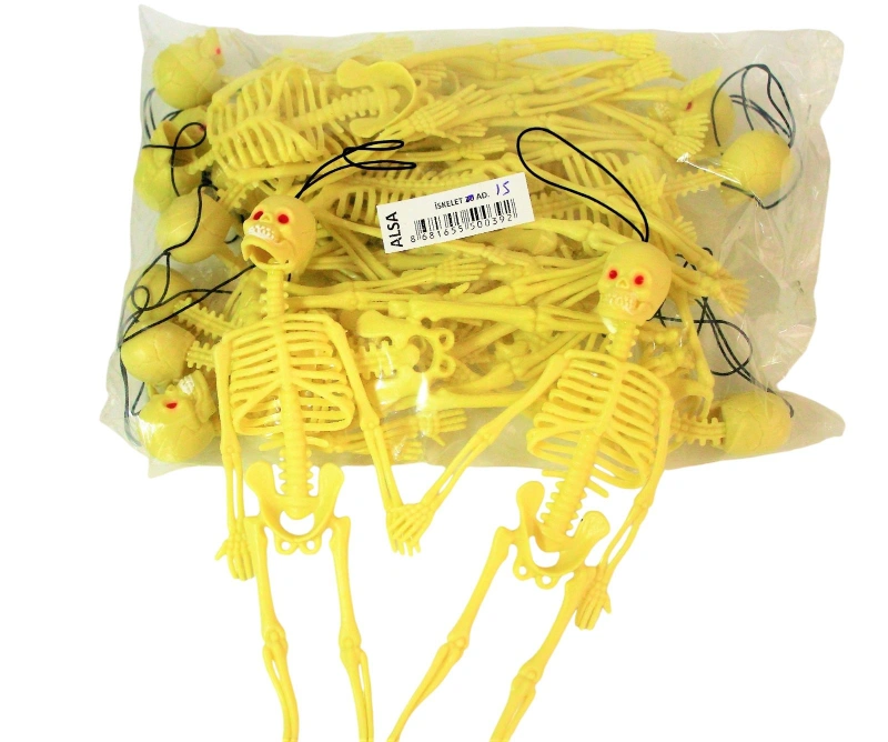 22Cm Fen Teknoloji İskelet Modeli / 20li paket