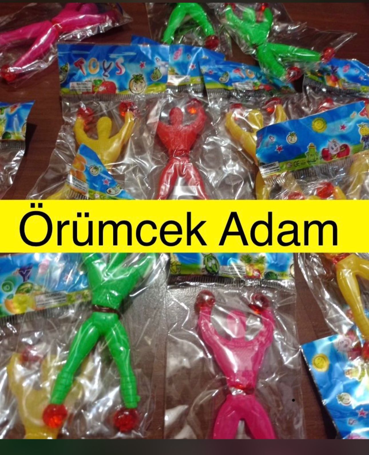 CAMDA YÜRÜYEN TAKLACI ÖRÜMCEK ( 100LÜ PAKET )