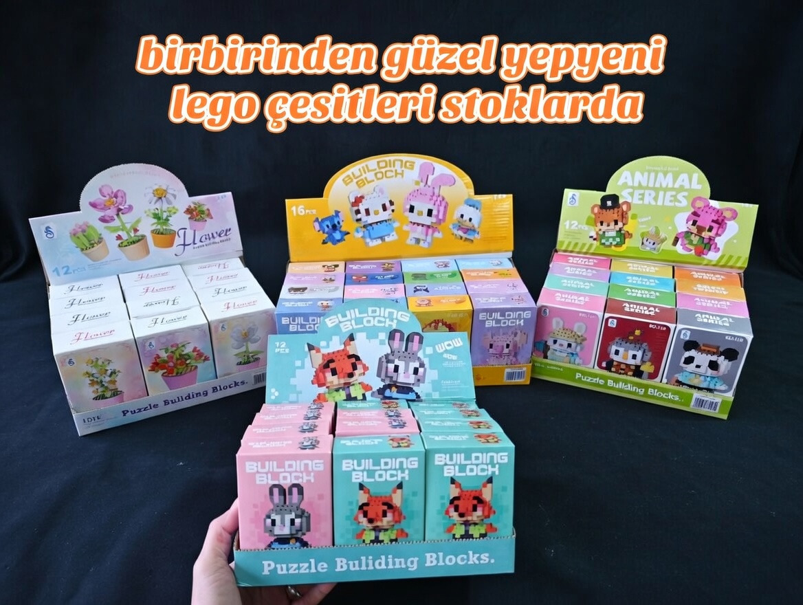 Kutulu Brics Ve Çiçek Legolar / 12li Stant