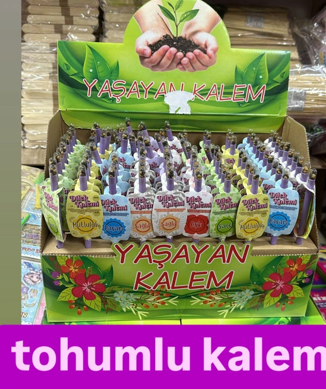 TOHUMLU KALEM / 100LÜ STANT